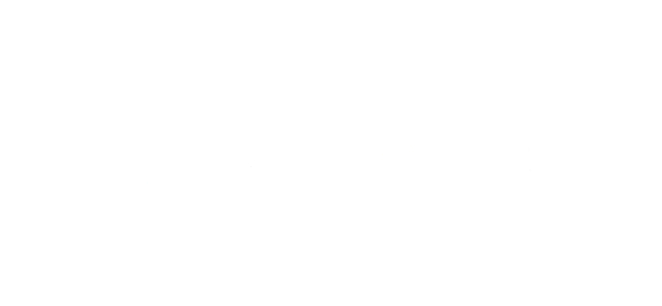 Atomic Skis